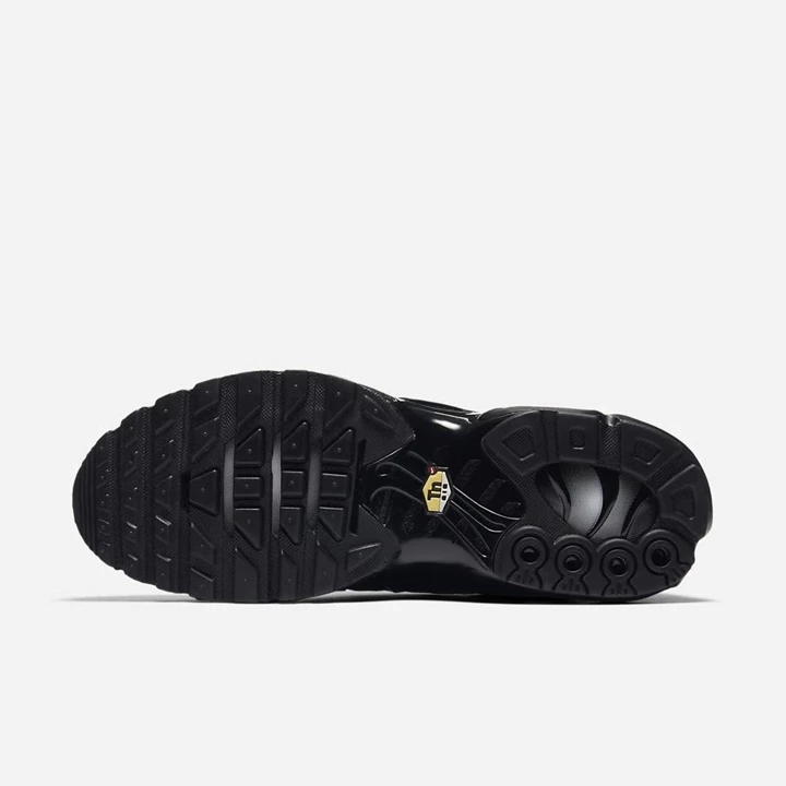 Nike Air Max Plus Spor Ayakkabı Erkek Siyah Siyah Siyah | TR4257065