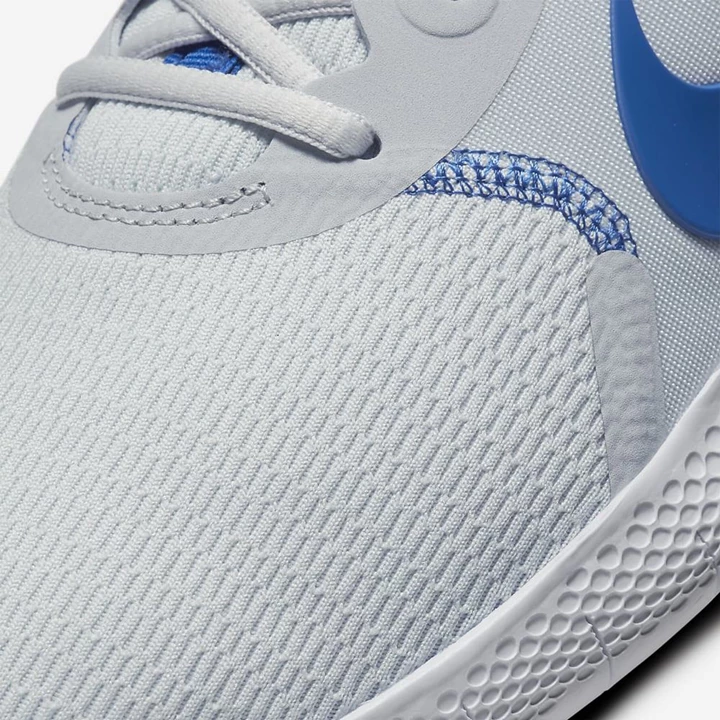 Nike Flex Experience Koşu Ayakkabısı Erkek Platini Beyaz Kraliyet Mavisi | TR4256675
