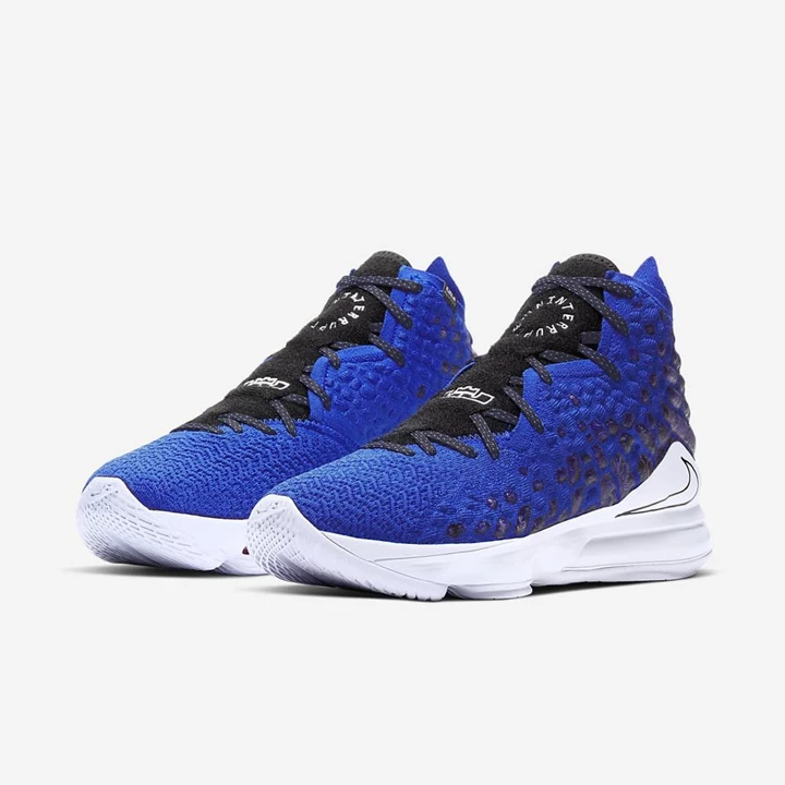 Nike LeBron 17 Basketbol Ayakkabısı Kadın Mavi Siyah Beyaz | TR4257063
