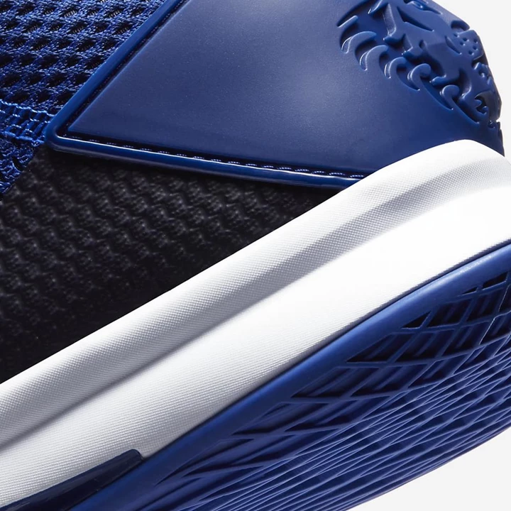 Nike LeBron Basketbol Ayakkabısı Erkek Koyu Kraliyet Mavisi Mavi Mavi Platini Beyaz | TR4257030