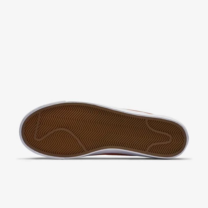 Nike SB Blazer Low GT Kaykay Ayakkabısı Erkek Beyaz | TR4257339