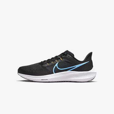Nike Air Zoom Pegasus 39 Yol Koşu Ayakkabısı Erkek Siyah Mavi | TR4257771