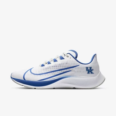 Nike College Zoom Pegasus 37 Koşu Ayakkabısı Erkek Beyaz Platini Gümüş Kraliyet Mavisi | TR4258530