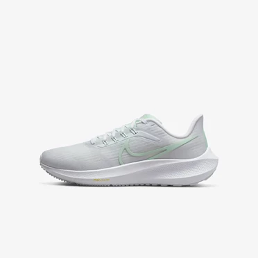 Nike Air Zoom Pegasus 39 Yol Koşu Ayakkabısı Kadın Gümüş | TR4259601